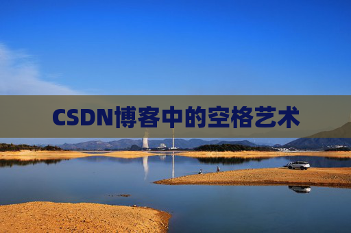 CSDN博客中的空格艺术